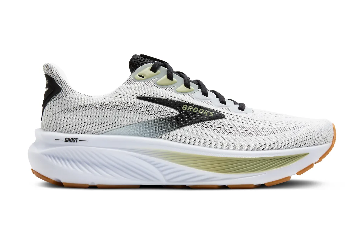 Brooks Ghost 17