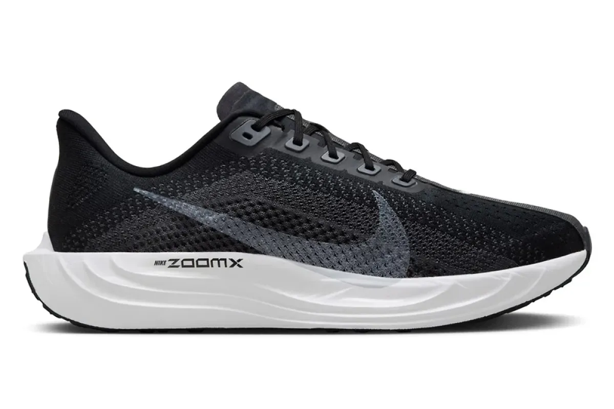 Nike Pegasus Plus